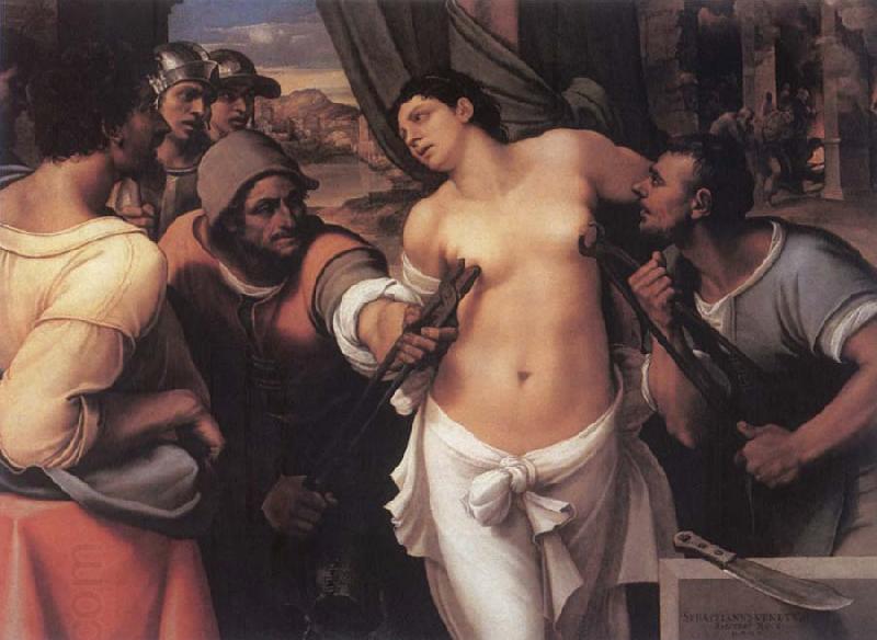 Sebastiano del Piombo The Martydom of St.Agatha China oil painting art